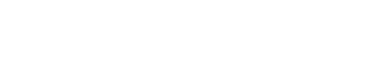cirse2026-logo-light.png